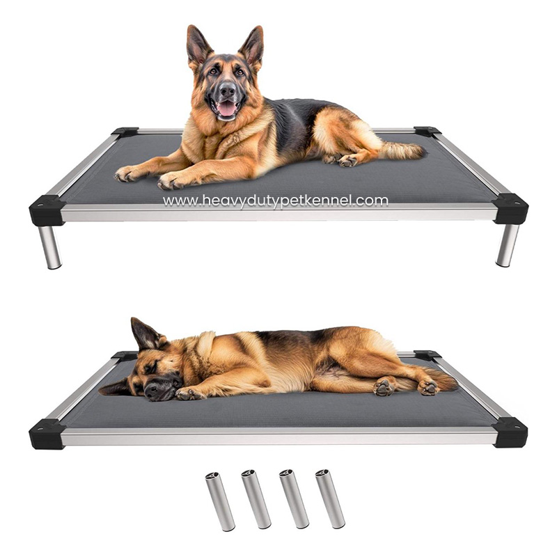 Oxford Portable Outdoor Elevated Dog Bed