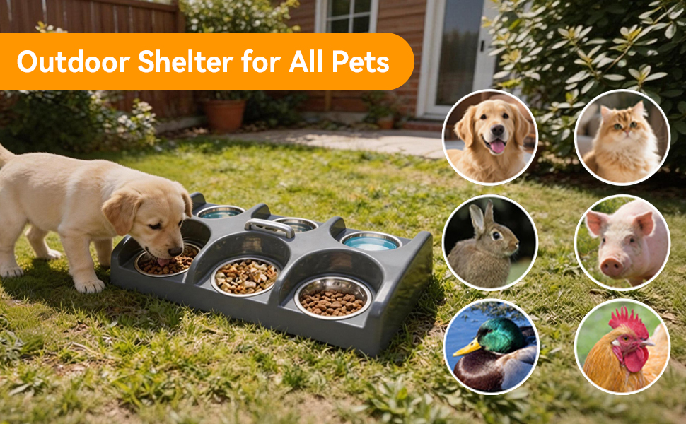 Dog Bowl Feeder