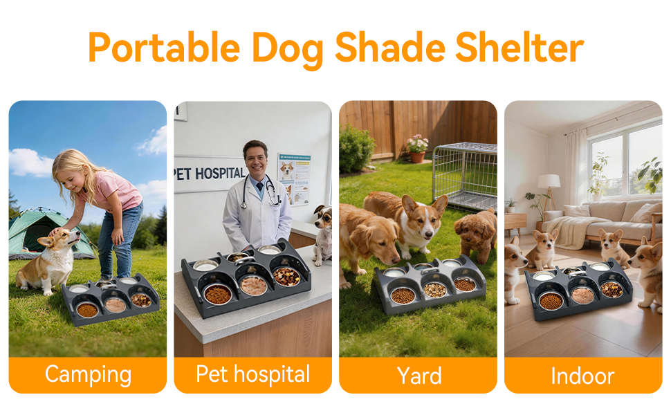 Dog Bowl Feeder