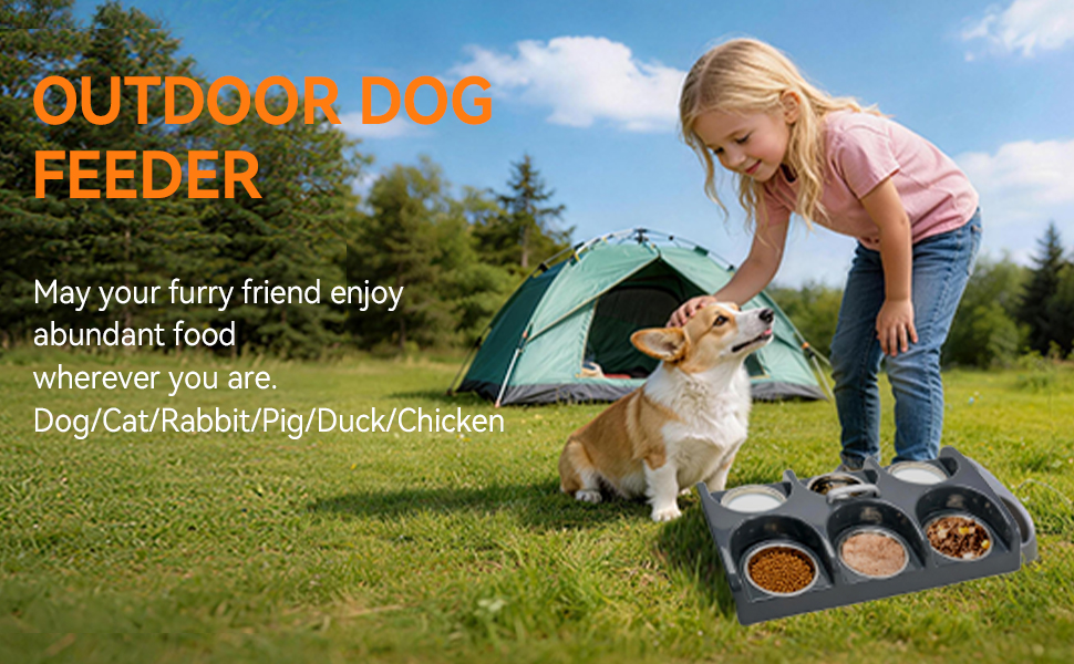 Dog Bowl Feeder