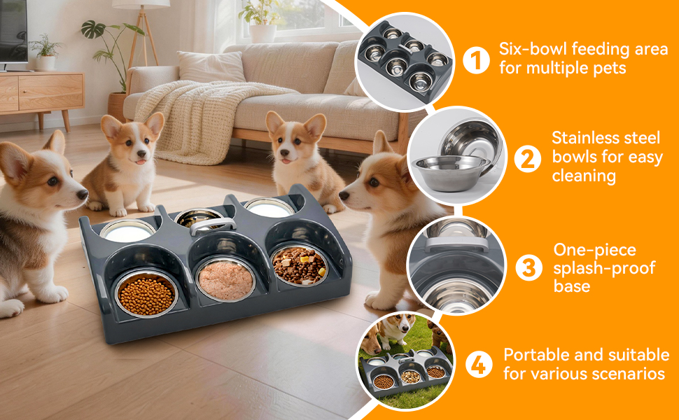 Dog Bowl Feeder