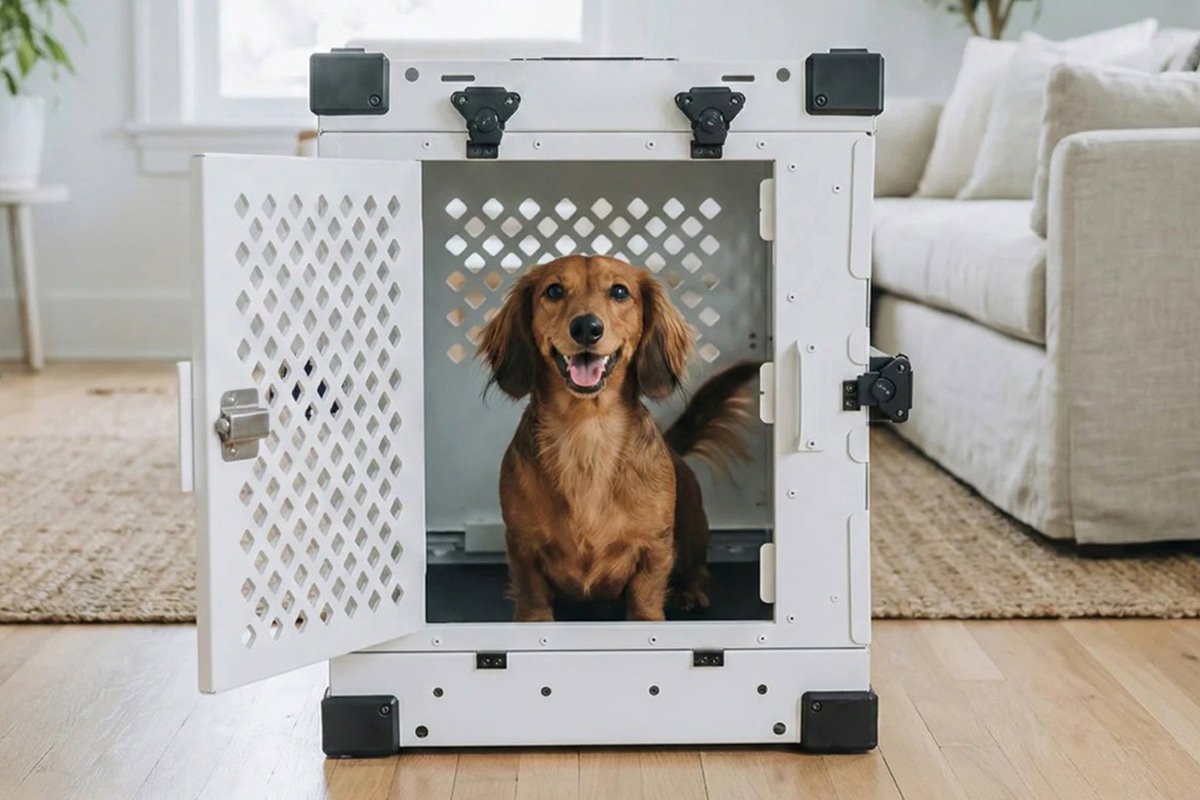 Case Study: Commercial Pet Cages with Top-Opening & Modular Design for Efficient Care