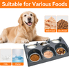 Puppy Feeding System 6 Litter Multiple Dog Bowl Feeder