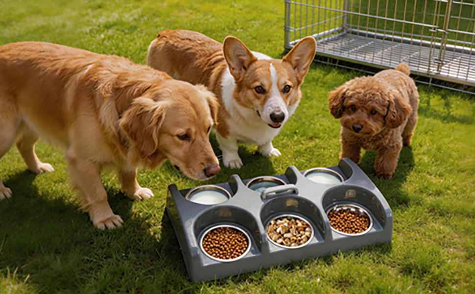 Dog Bowl Feeder