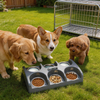 Puppy Feeding System 6 Litter Multiple Dog Bowl Feeder