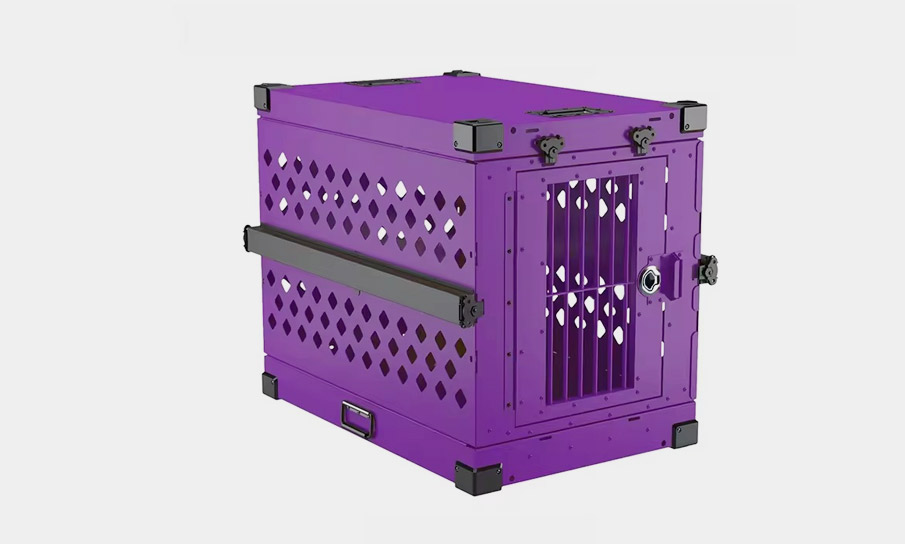 Safety Solution for Highly Anxious Dogs