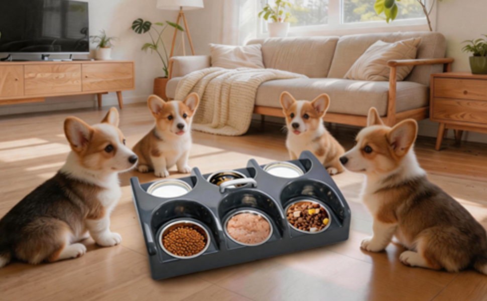Dog Bowl Feeder