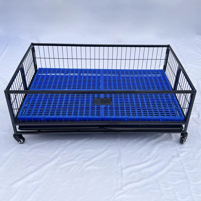 Dog Kennel